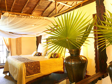 palms zanzibar tanzania